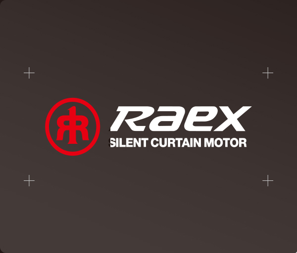 <em>RAEX 品牌</em>核心价值